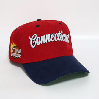 Connecticut Men's Snapback Hat - Red/Navy