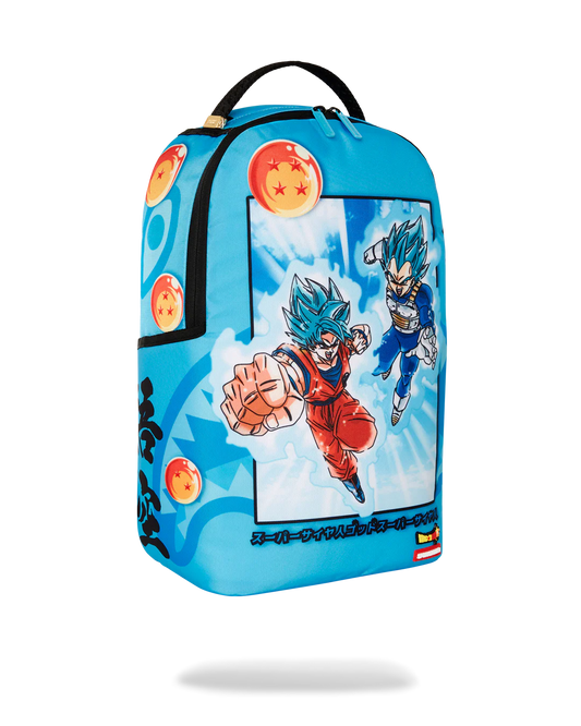 Dragon Ball Z Super Saiyan Blue Goku and Vegeta