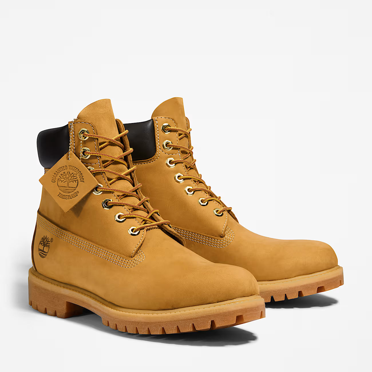 Men's Timberland® Premium 6-Inch Waterproof Boot - Wheat